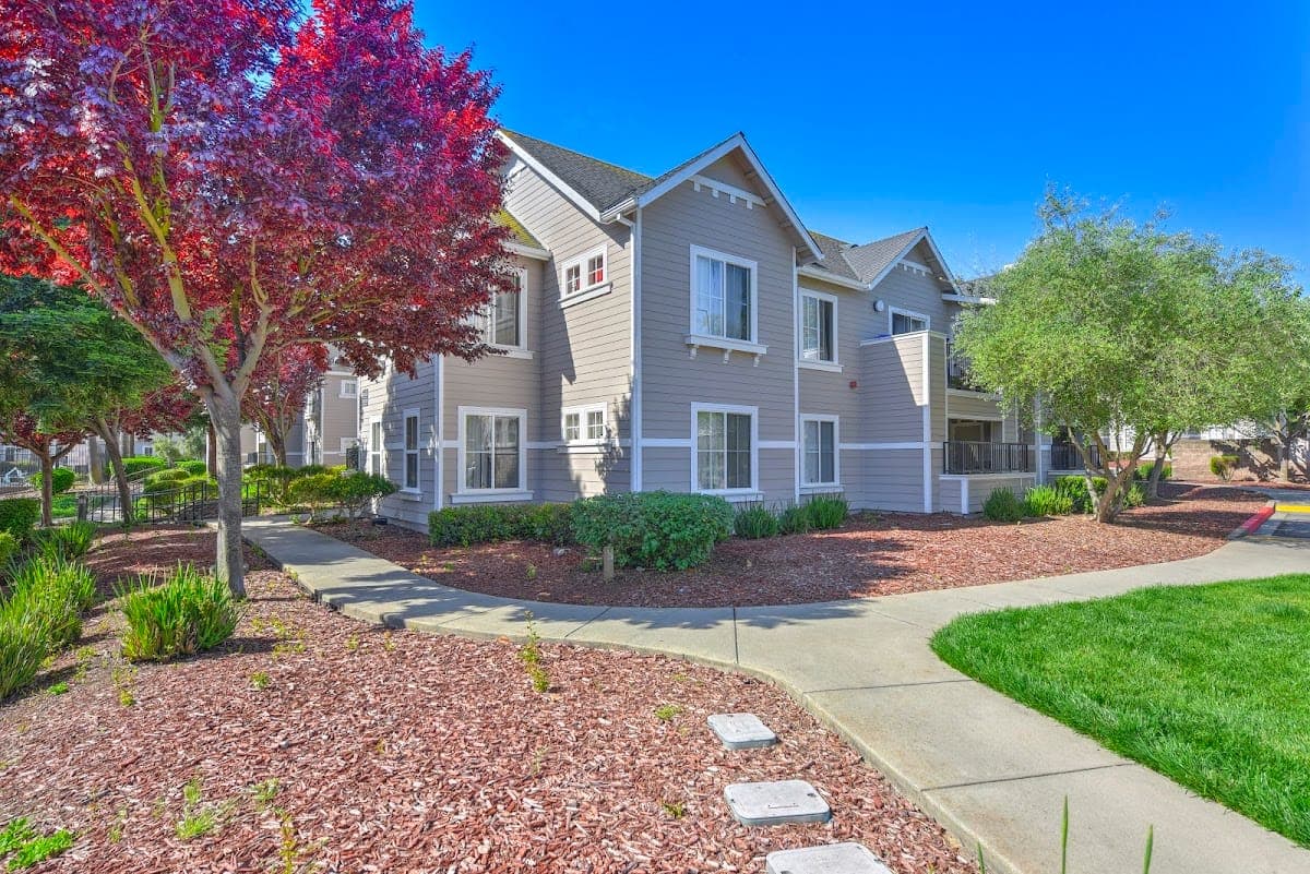 Bay Vista at Meadow Park