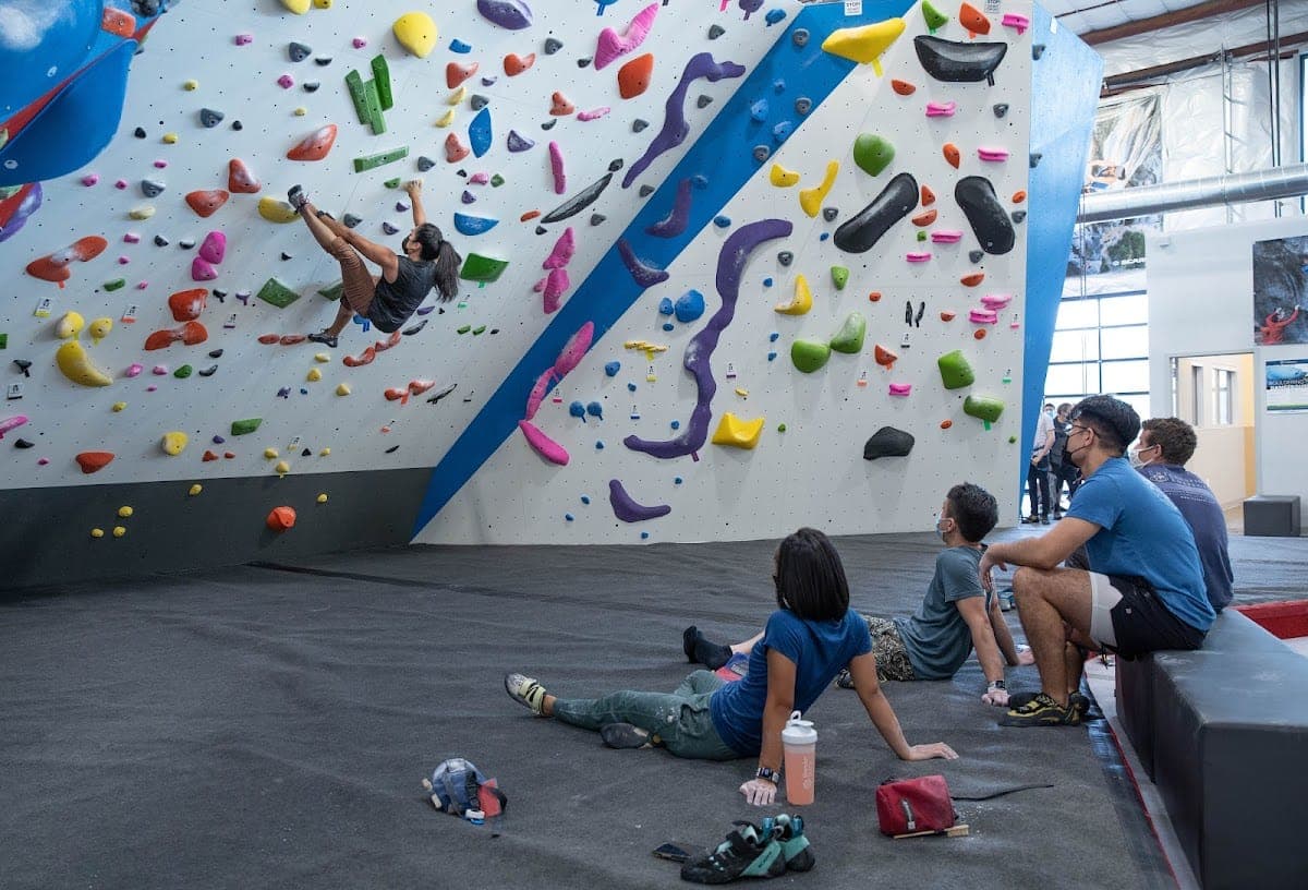 Gravity Vault Marin