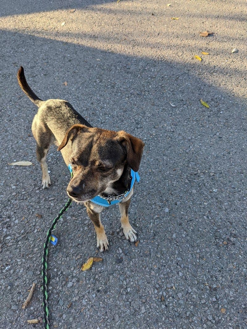 Marin Humane
