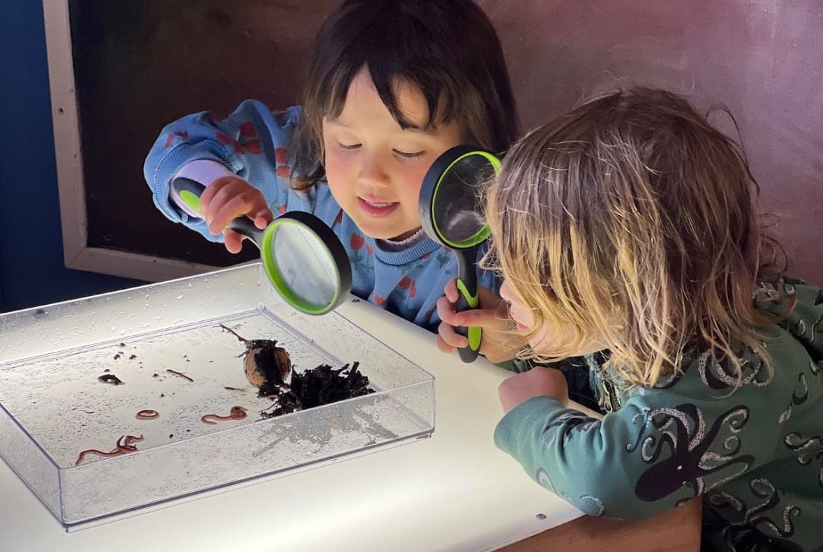 Mill Valley Nursery School