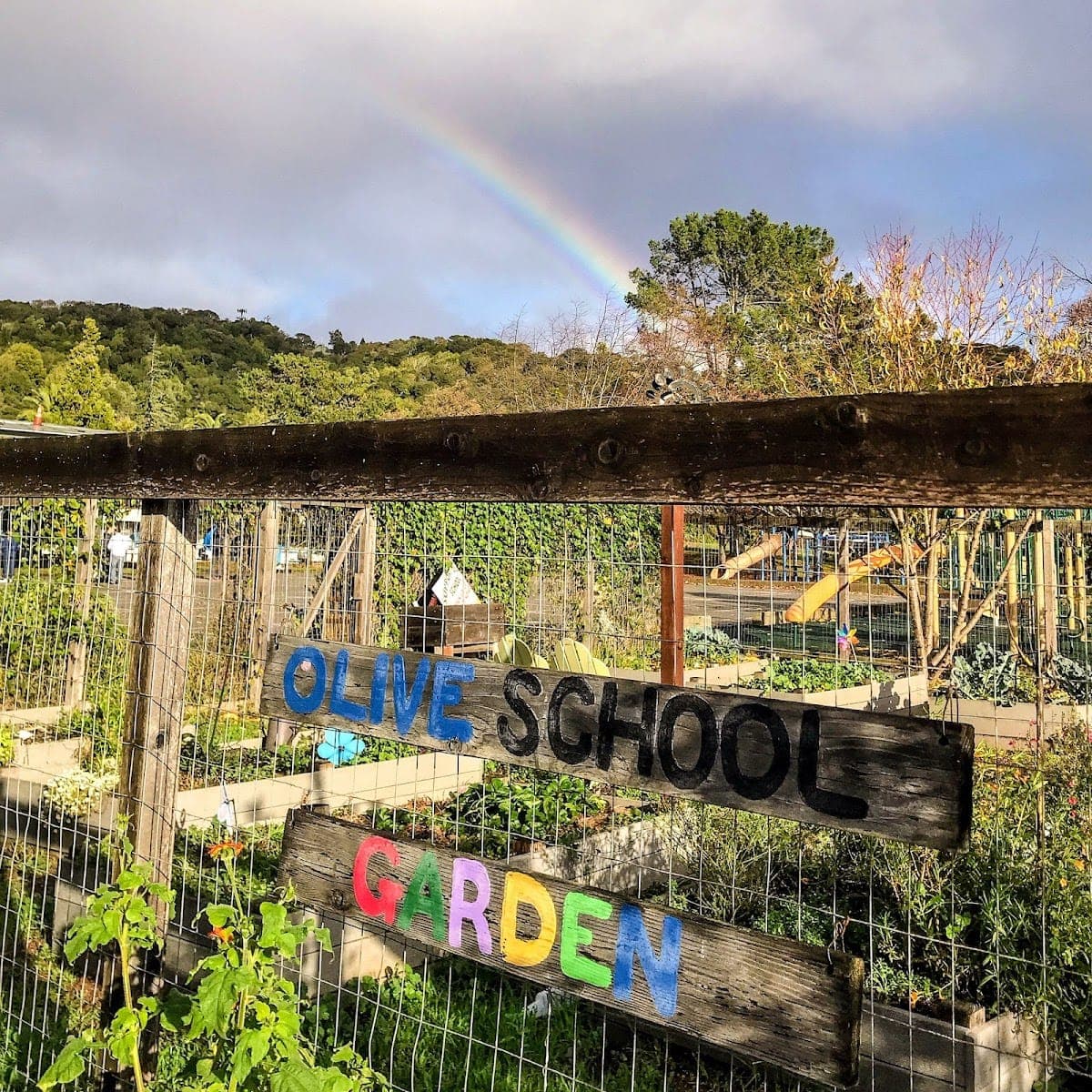 Olive Elementary School