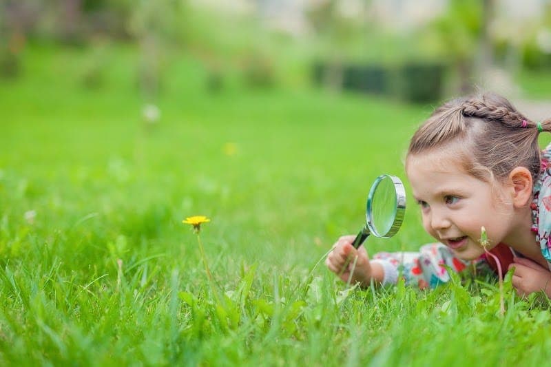 Sf International School -Dba- the Ross Preschool