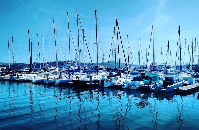 The San Francisco Yacht Club