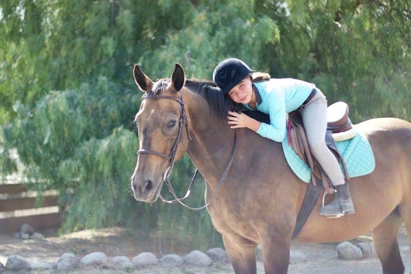 Strides Riding Academy