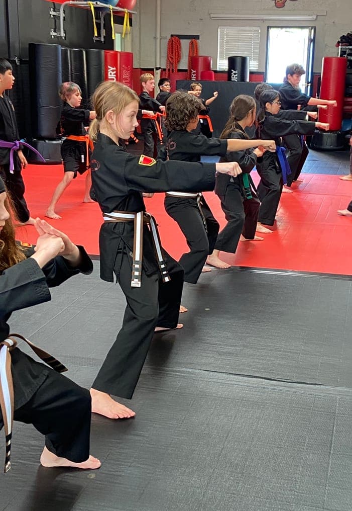 The Dojo